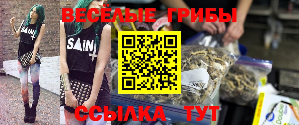 Галлюциногенные грибы прущие грибы  Вход с VPN  Сергиев Посад 