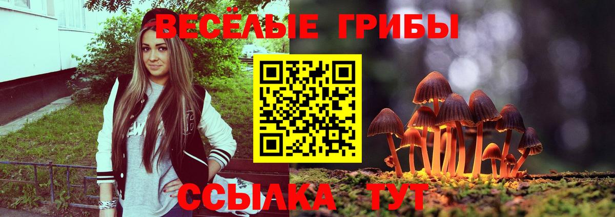 Псилоцибиновые грибы MAGIC MUSHROOMS Сергиев Посад